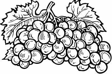 Lush Harvest: A Classic Line Art Depiction of Grapes on the Vine 