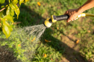 a woman's hand waters plants in the garden with a hose.