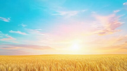 Fototapeta premium Thanksgiving landscape of golden fields at sunset