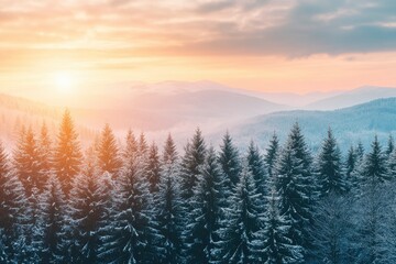 Fototapeta premium A stunning winter landscape during sunset where a dense forest of vibrant green pine trees with generative ai