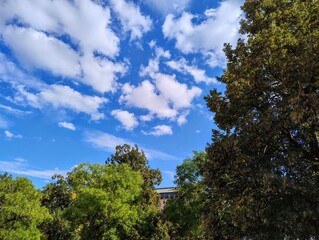 Bright blue sky. Czech republic nature. City park. Natural scenery. Fresh blue and green colors. Sunlight over trees. Countryside in Europe. Summer in Brno. Cloudy weather. Soft daylight. Nice view.