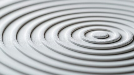 Obraz premium White Concentric Circles A Minimalist Perspective on Texture and Form
