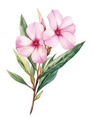 Obraz premium Delicate pink flowers bloom on a branch with lush green leaves.