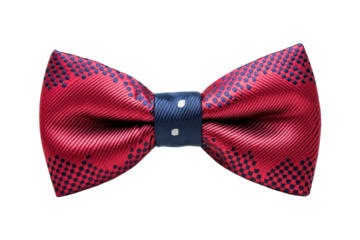 A close-up image of a patterned bowtie.