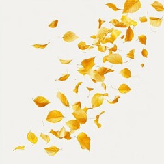 Fototapeta premium Petal_flowers_flying_in_the_air_in_spring_season