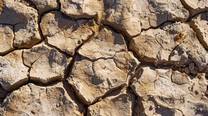 Fototapeta premium Drought-affected soil showing deep crevices and texture Close-up photo with clean background