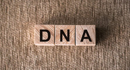 A wooden block with the word DNA engraved on it, showcasing a medical conceptual theme.