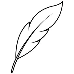 Feather Silhouette Line Art.