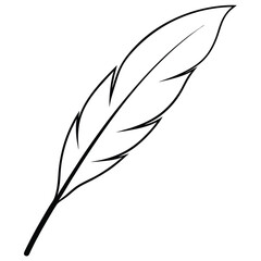 Feather Silhouette Line Art.