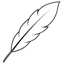 Feather Silhouette Line Art.