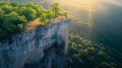 Fototapeta premium Majestic Cliff Overlooking Sunlit Forest Edge