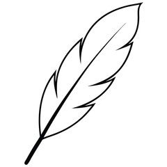 Feather Silhouette Line Art.