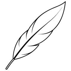 Feather Silhouette Line Art.