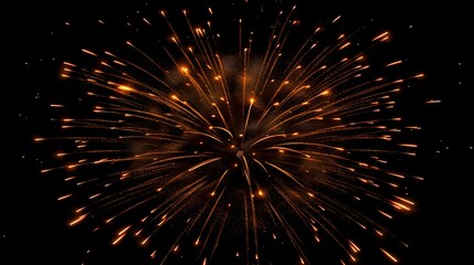 Starburst Fireworks: A stunning starburst fireworks display, representing celebration and festivity. 

