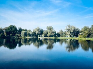 Trees reflection on the lake surface, blue lake in the park, summertime