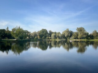 Trees reflection on the lake surface, blue lake in the park, summertime