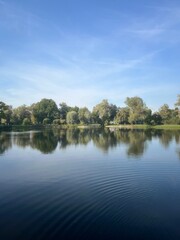 Trees reflection on the lake surface, blue lake in the park, summertime