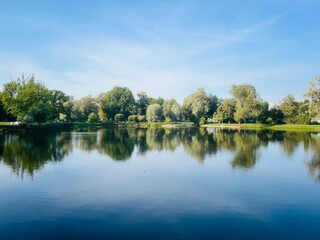 Trees reflection on the lake surface, blue lake in the park, summertime