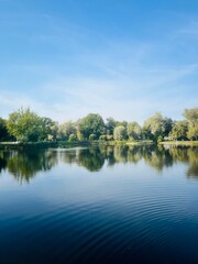 Trees reflection on the lake surface, blue lake in the park, summertime