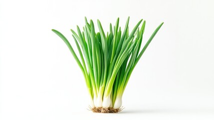 A bunch of fresh green onions with roots, showcasing vibrant colors and healthy growth.
