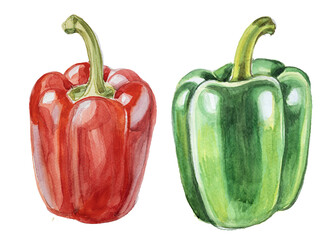 Watercolor red bell pepper isolated on white. 
Hand drawn vegetable illustration. Menu or cook book cover clipart.