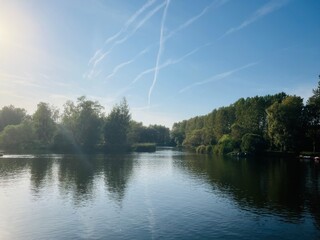 Trees reflection on the lake surface, blue lake in the park, summertime