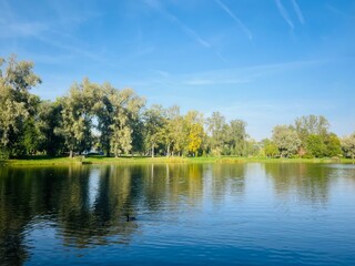 Trees reflection on the lake surface, blue lake in the park, summertime