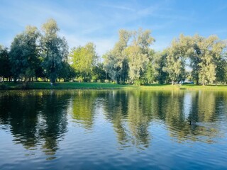 Trees reflection on the lake surface, blue lake in the park, summertime