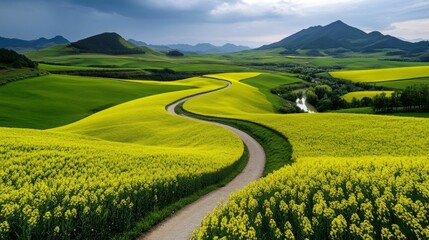 Fototapeta premium A breathtaking view of a winding path through endless fields of yellow flowers, leading toward distant mountains under a cloudy sky. 