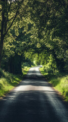 Obraz premium Green Tree-Lined Road Leading to a Vanishing Point