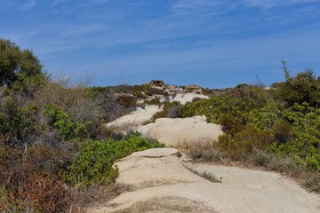 road in the rocks formations in Diaporos Island, Sithonia - Greece