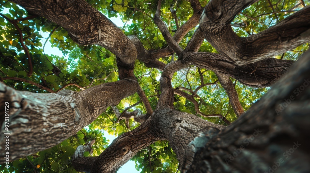 Aufkleber cross-shaped tree branches forming natural frame close-up photo with clean background