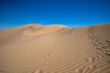 Maspalomas dunes on Gran Canaria, Canary Islands, Spain