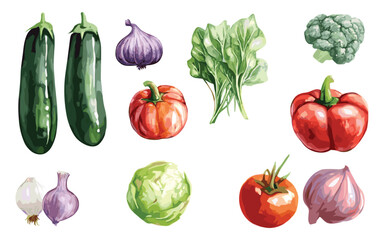 Vegetable Vector Elements, Vegetable Watercolor Illustration isolated on white background