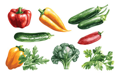 Vegetable Vector Elements, Vegetable Watercolor Illustration isolated on white background