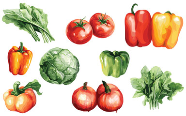 Vegetable Vector Elements, Vegetable Watercolor Illustration isolated on white background