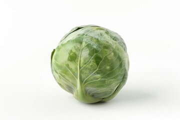 A single head of cabbage on a white surface
