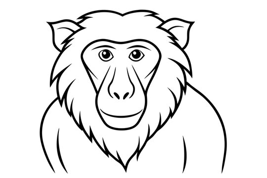 recommend clip art: baboon line art on white background