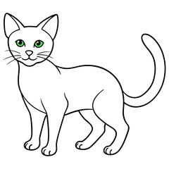 cat vector line  art color illustration white background