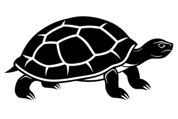 tortoise icon vector line art