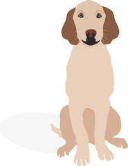 Cute smiling puppy dog sitting. Vector illustration