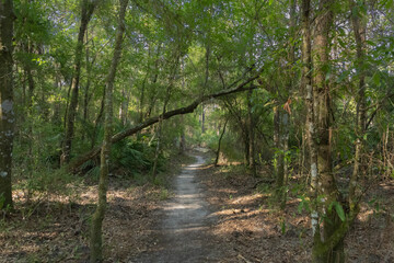 The Flatwoods Conservation Park City of Tampa Nature Conservation Area on of Floridas beautiful Nature Areas. Great for exercise, biking, hiking, running, jogging, bird watching.