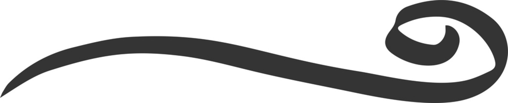 Swoosh line and underline brush stroke. Swish and curly swash hand drawn calligraphic tail. Squiggle doodle divider and elegant border for decoration. Curved black design element