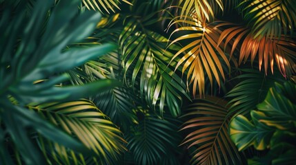 Palm leaves photographed from a close perspective, highlighting their texture and shape