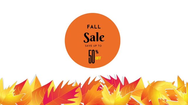 The fall season sale with withe boards discount 50%