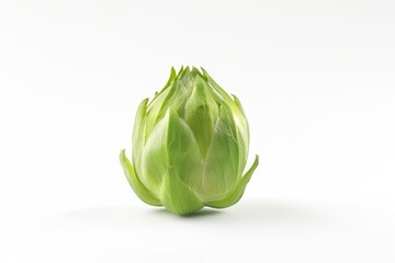 Fototapeta premium Close-up shot of an artichoke on a white background, ideal for food or kitchen-related images