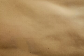 Naklejka premium Blank Brown Paper Texture Background, Smooth, Slightly Aged, Texture Overlay, Poster Background, Paper Surface