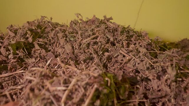 Storage space for dried patchouli leaves