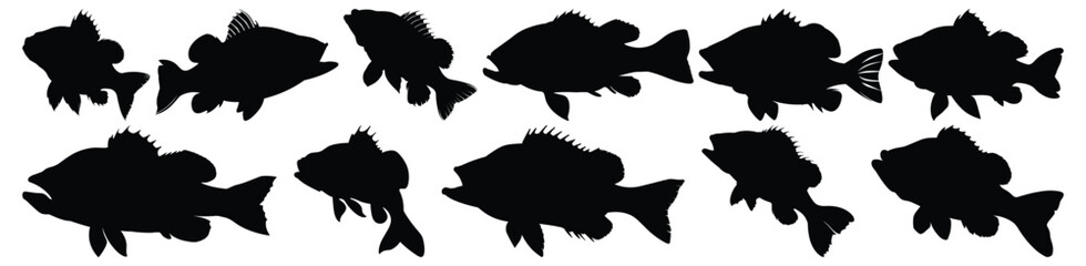 Fish silhouettes set, aquatic pack of vector silhouette design, isolated background