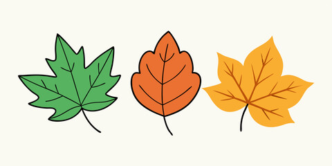 Fototapeta premium A set of three autumn leaves, each in a different color, representing the changing seasons. The leaves are drawn in a simple, cartoon style.